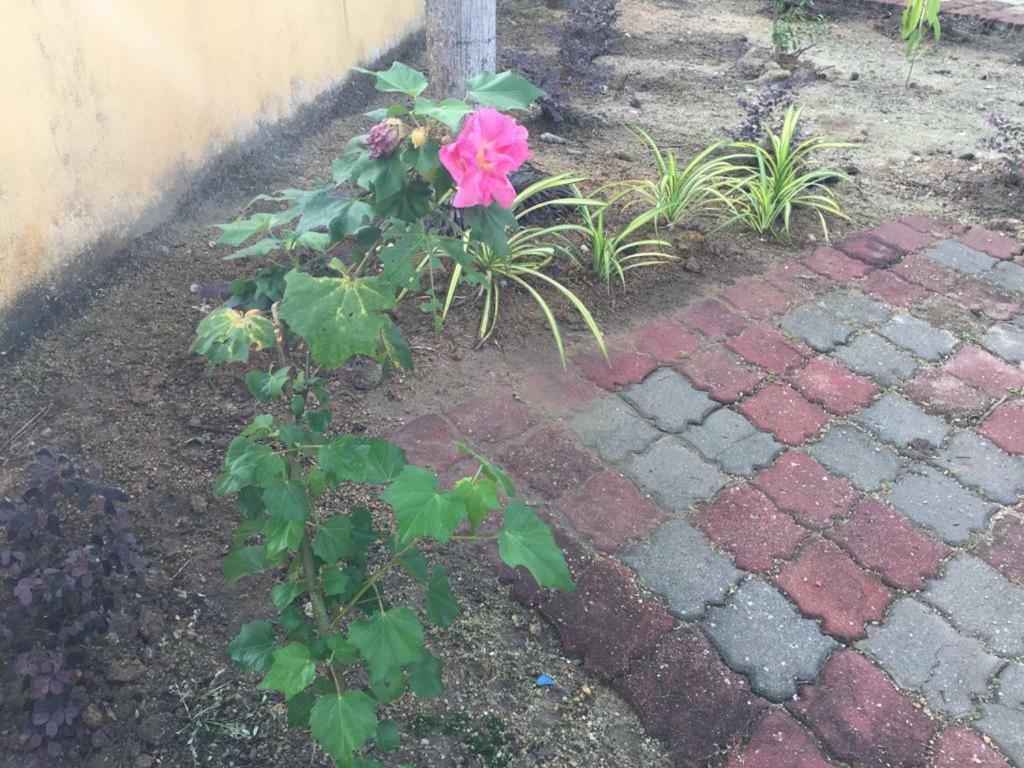 The Garden Vacation Home 루무트 외부 사진